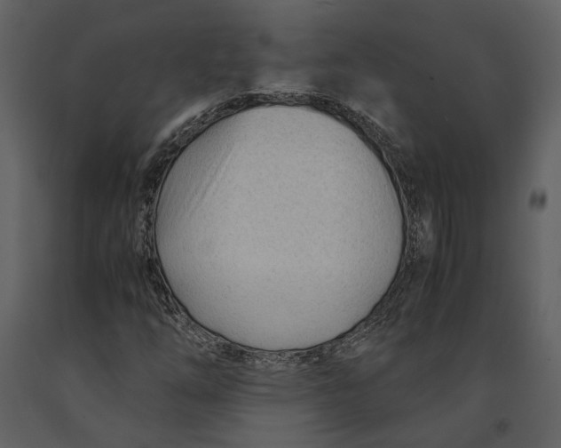 X0000090961254200708241145