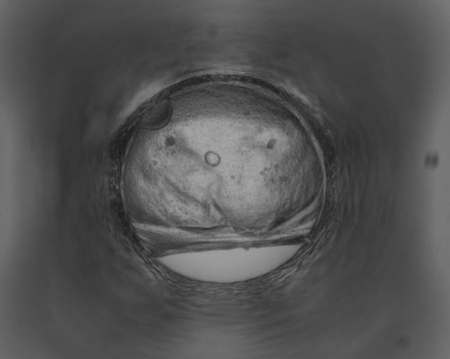 X0000090961255200708241145