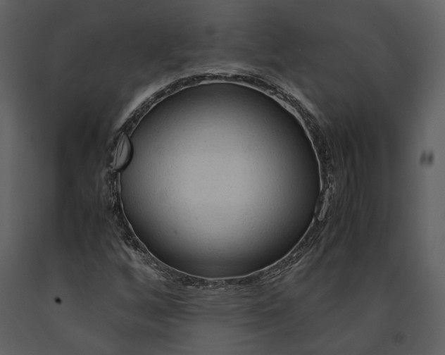X0000090961256200708241144