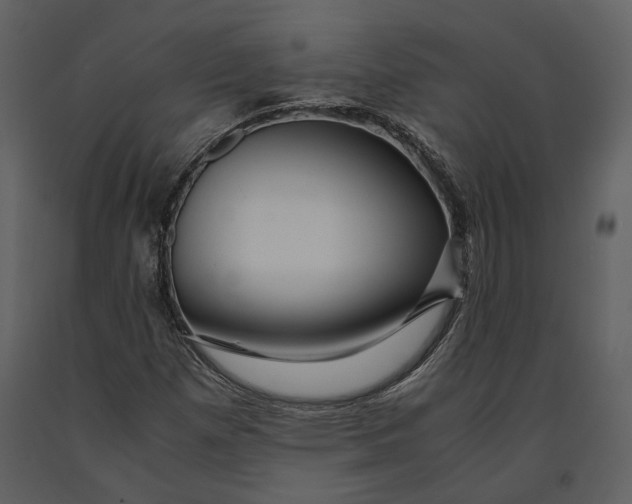X0000090961257200708241144