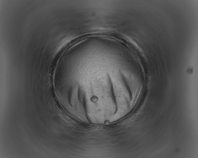 X0000090961259200708241144