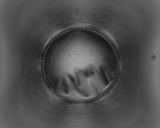 X0000090961260200708241144