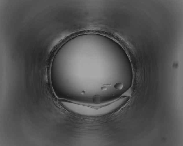 X0000090961262200708241144