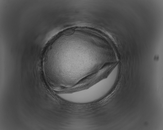 X0000090961263200708241144