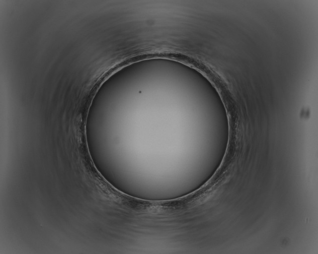 X0000090961265200708241144