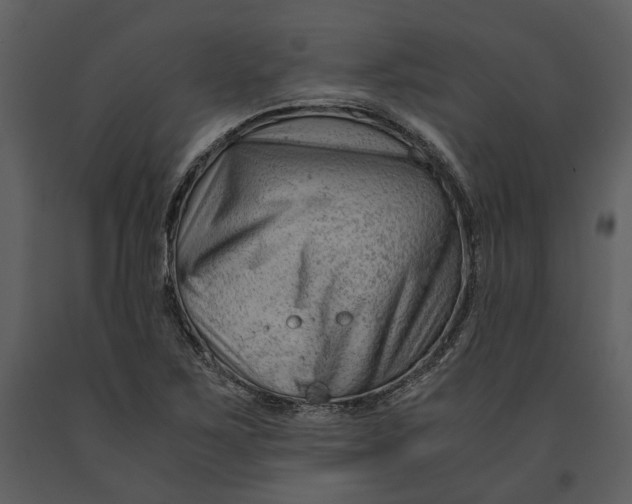 X0000090961267200708241144