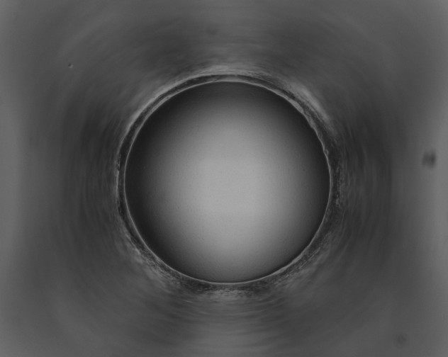 X0000090961268200708241144