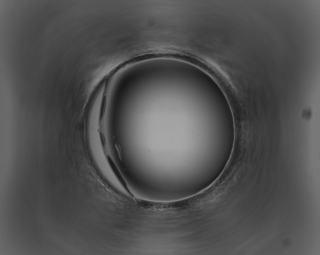 X0000090961269200708241144