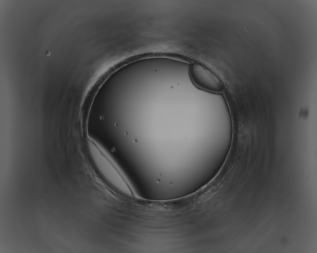 X0000090961270200708241144