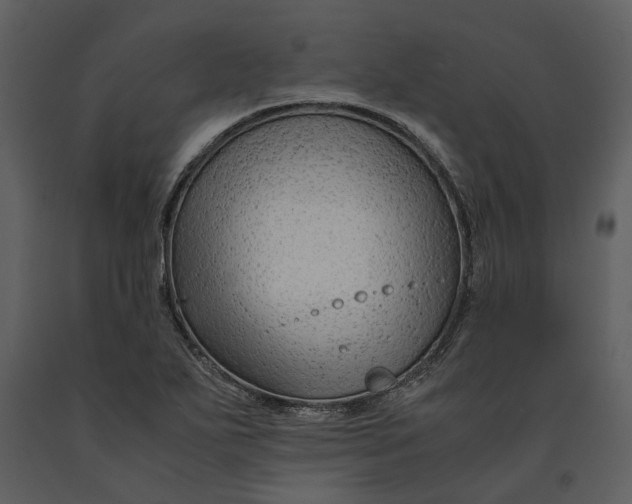 X0000090961271200708241144