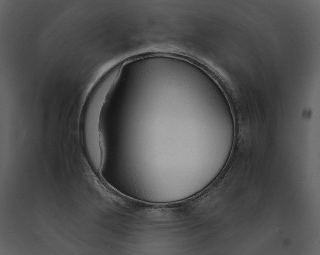 X0000090961272200708241144