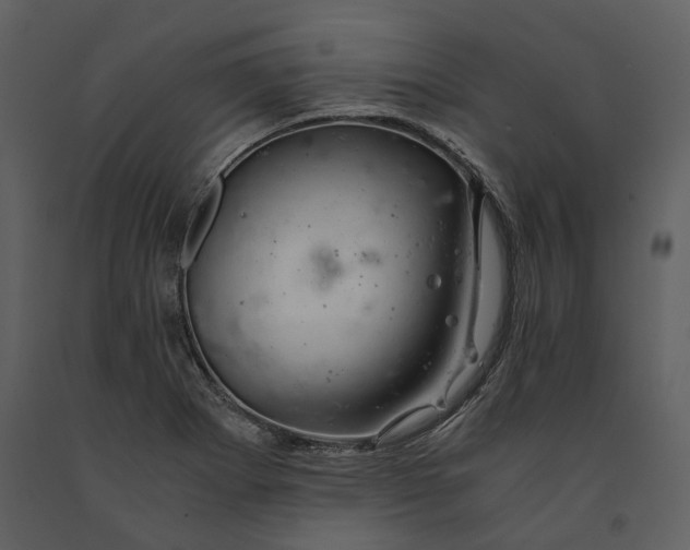 X0000090961273200708241144