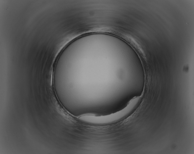 X0000090961276200708241144