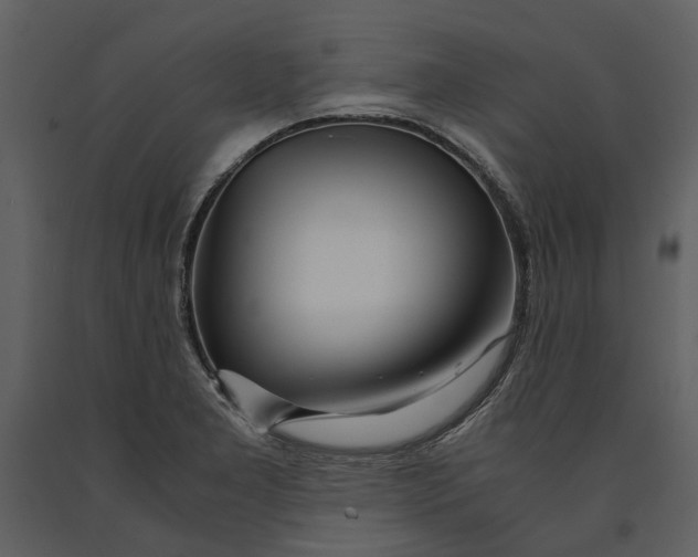X0000090961277200708241144