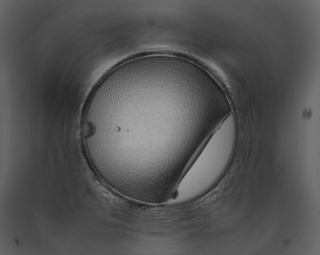 X0000090961279200708241144
