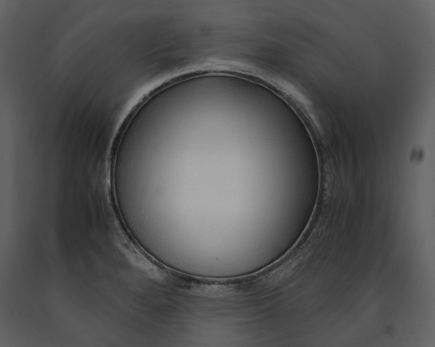 X0000090961280200708241144
