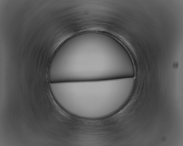 X0000090961281200708241144