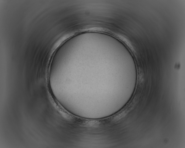 X0000090961282200708241144