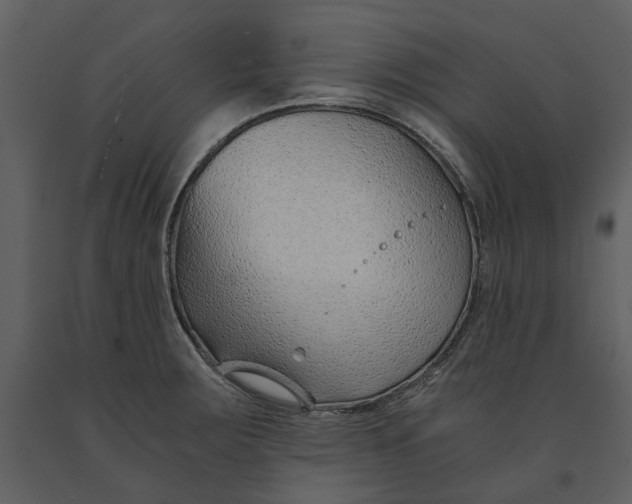X0000090961283200708241144