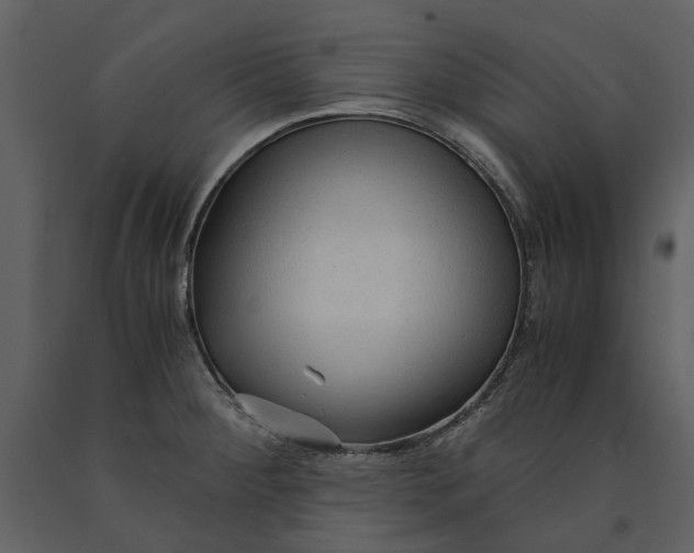 X0000090961284200708241144