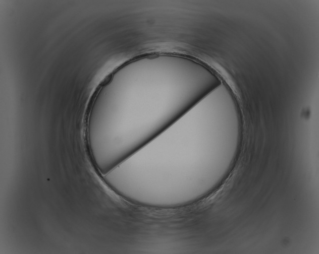 X0000090961285200708241144
