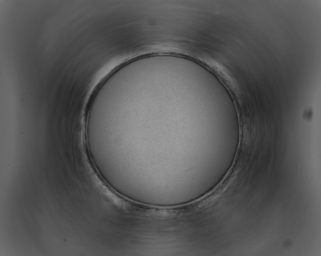 X0000090961286200708241144
