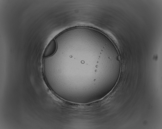 X0000090961287200708241144