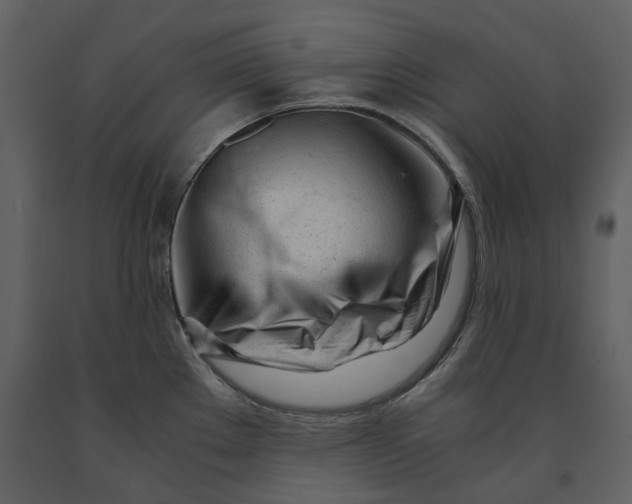 X0000090961289200708241144