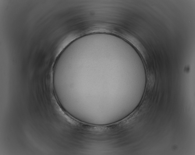 X0000090961290200708241144