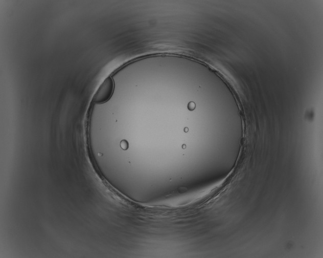 X0000090961291200708241144