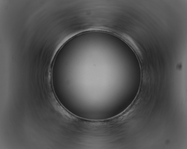 X0000090961292200708241144