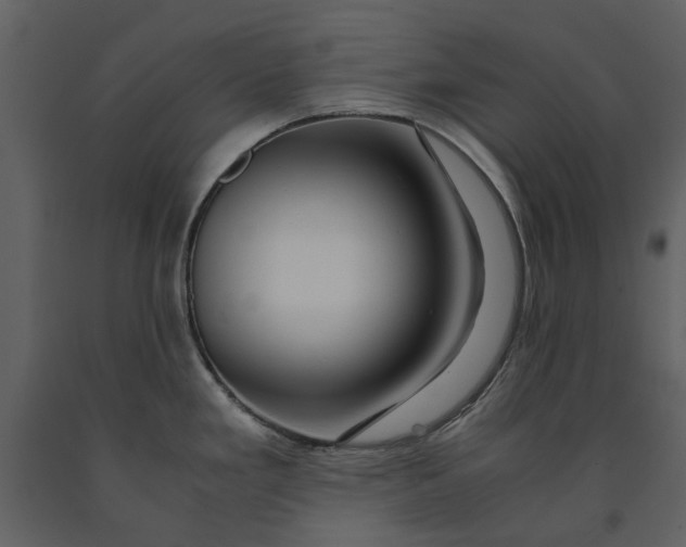 X0000090961293200708241144