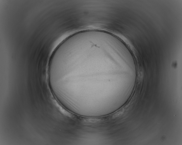 X0000090961294200708241144