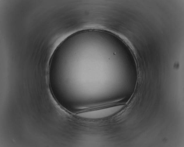 X0000090961295200708241144