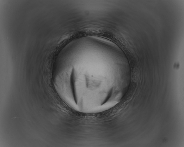 X0000090961297200708241143