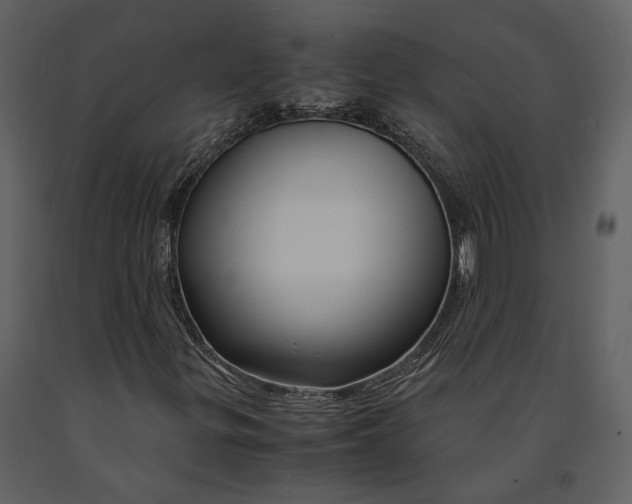 X0000090961299200708241143