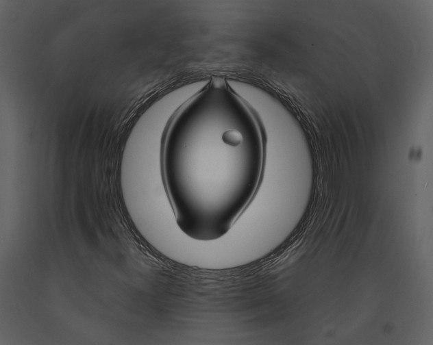 X0000090961300200708241143