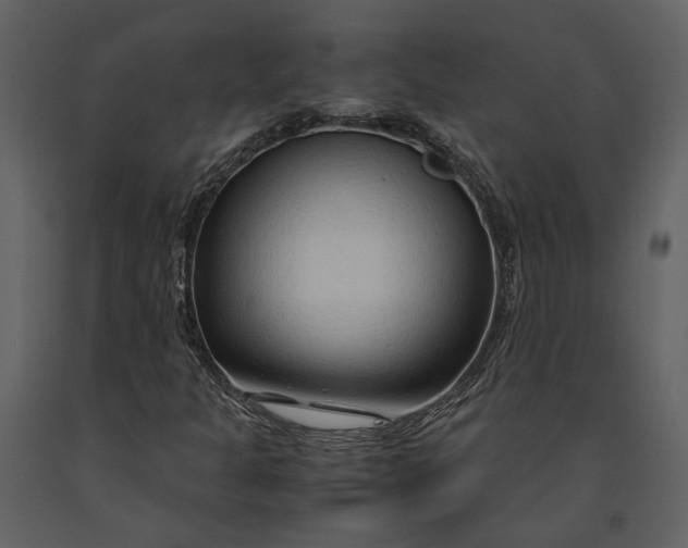 X0000090961301200708241143