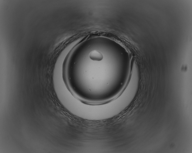 X0000090961302200708241143