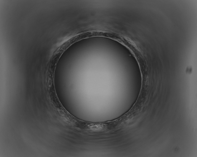 X0000090961303200708241143