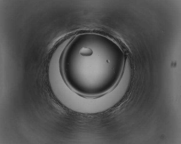 X0000090961304200708241143