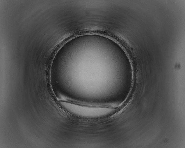 X0000090961305200708241143