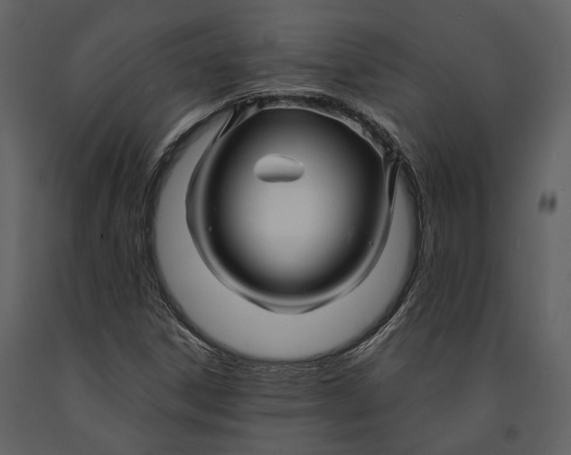 X0000090961306200708241143