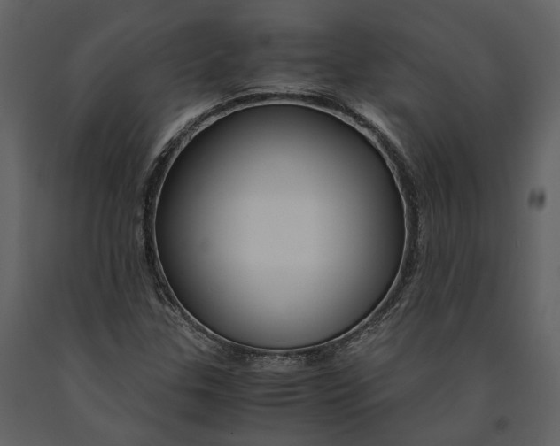 X0000090961307200708241143