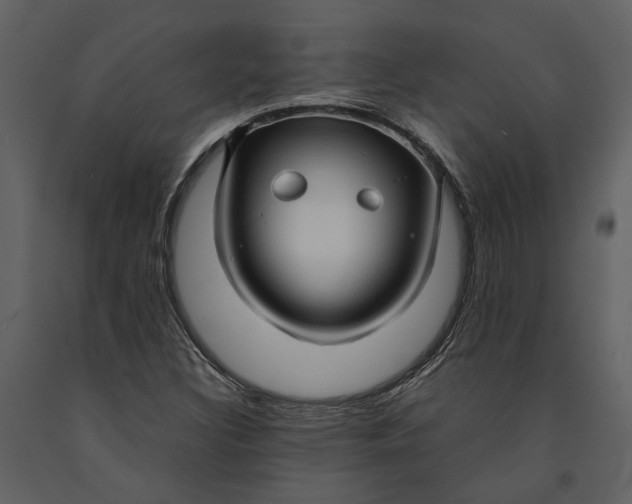 X0000090961308200708241143