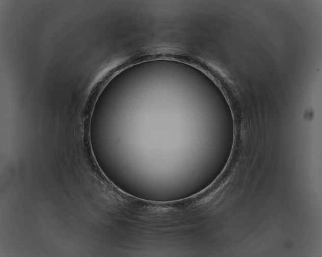 X0000090961309200708241143