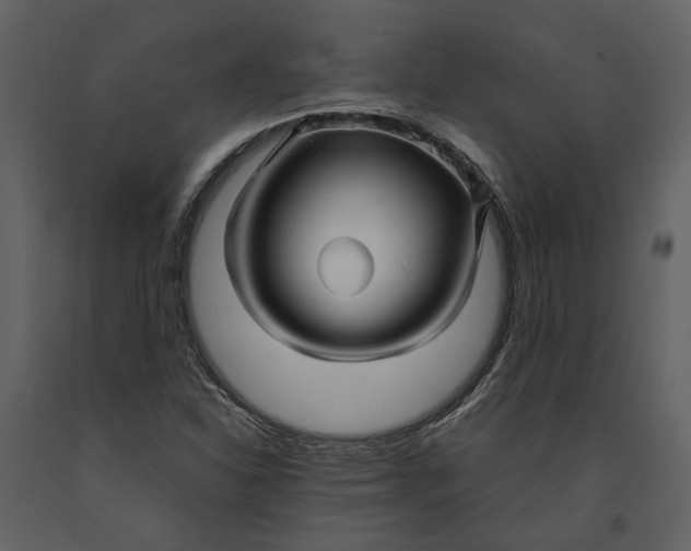 X0000090961310200708241143
