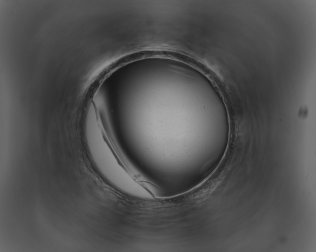 X0000090961311200708241143