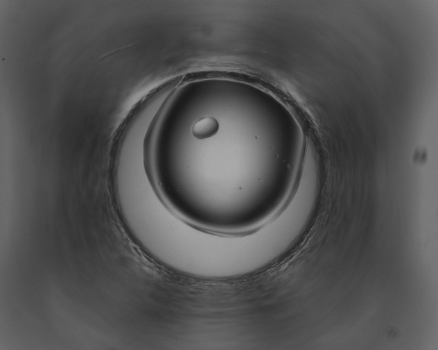 X0000090961312200708241143
