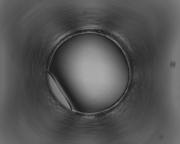 X0000090961313200708241143